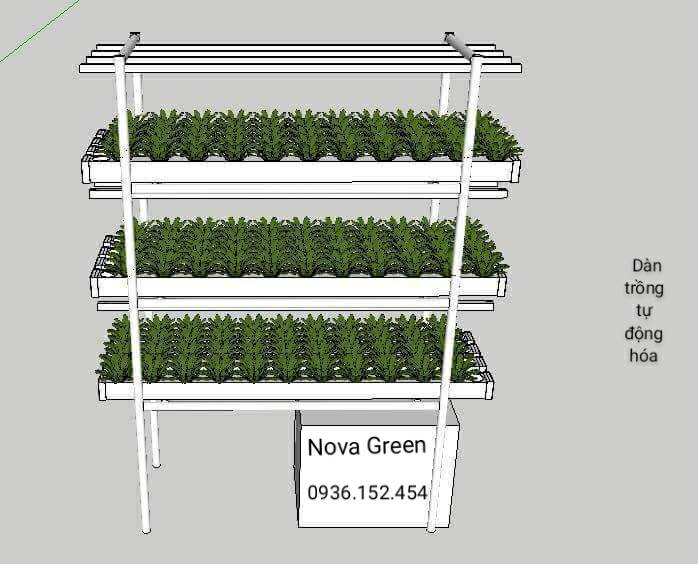 Dàn trồng rau thủy canh trong nhà Nova Green