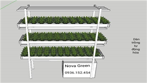 Dàn trồng rau thủy canh trong nhà Nova Green